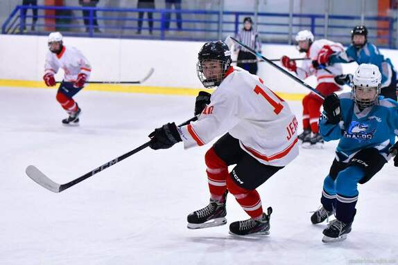 DOROST VYŠKOV 18.1.2025_3